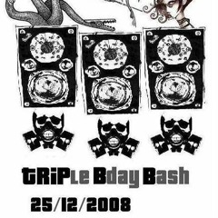 Tripped live @ TRIPle Bday Bash 2008 tSteegske Ghent