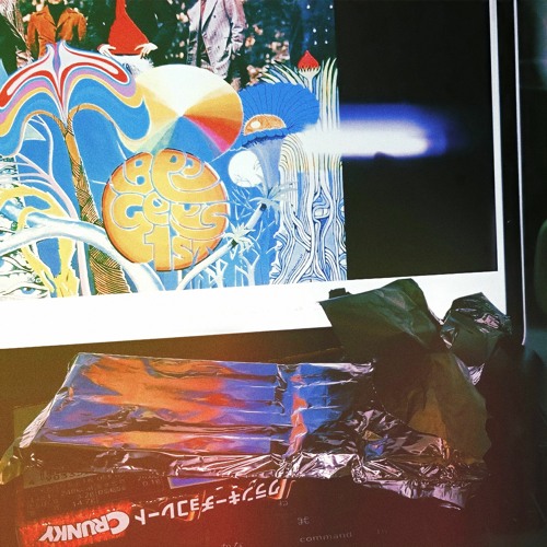 複眼の映像 By Tokyo No 1 Dog