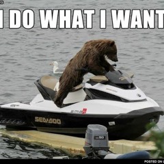 I DO WHAT I WANT