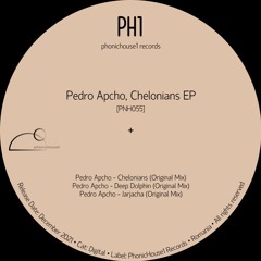 Pedro Apcho - Chelonians [PNH055] (PREMIERE)