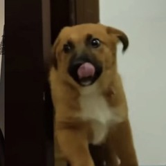 trust issues x how to get laid