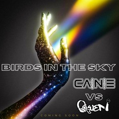 Cainie Vs Owen I - Birds In The Sky (Sample)