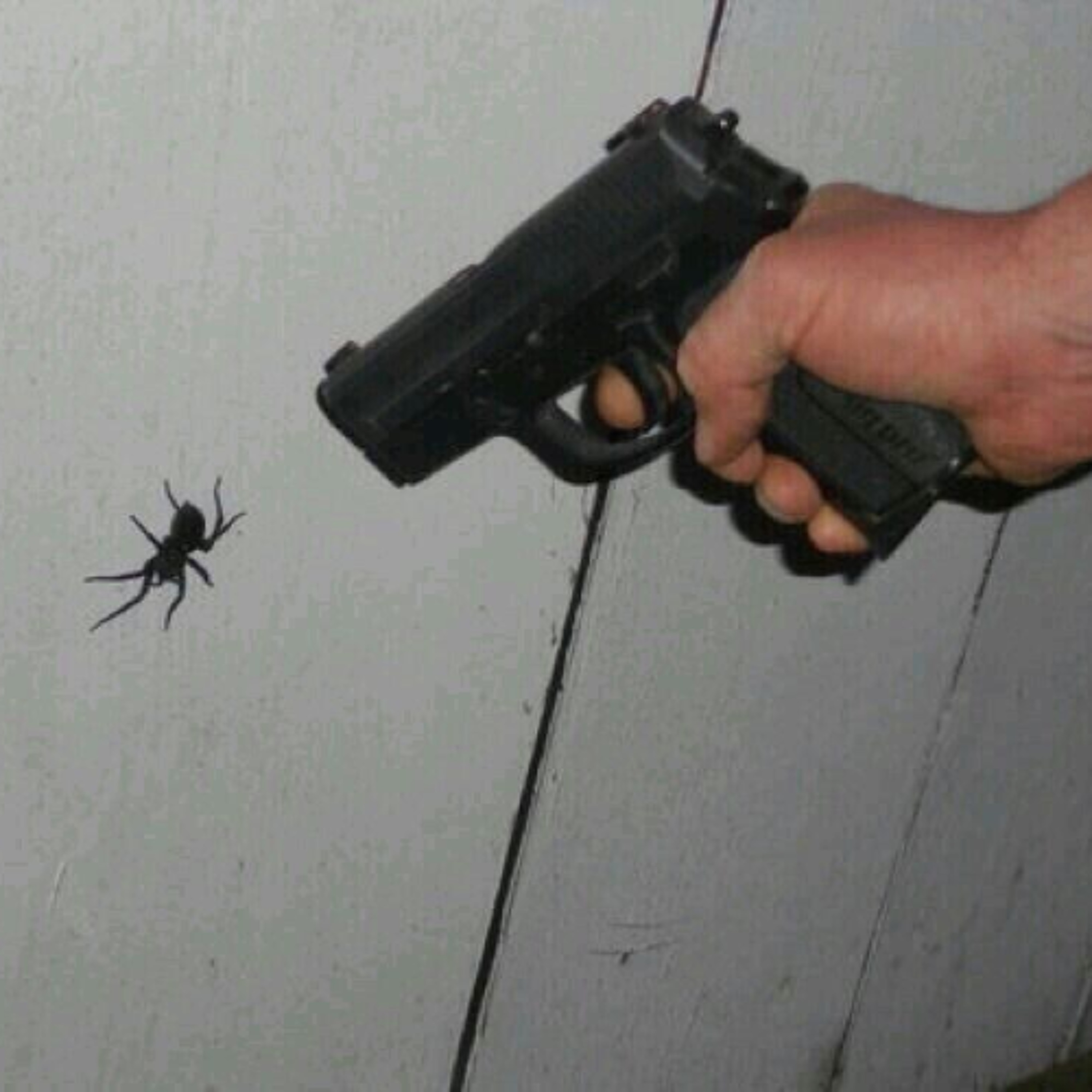 172: The War On Bugs episode artwork