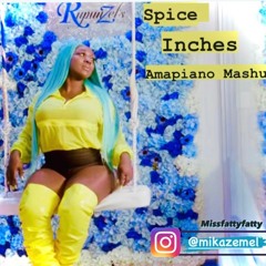Spice - inches (amaipano Mashup)