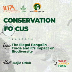 The Impact of Illegal Trade of Pangolins on Biodiversity