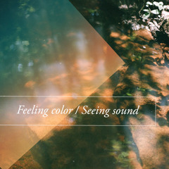 Feeling color / Seeing sound