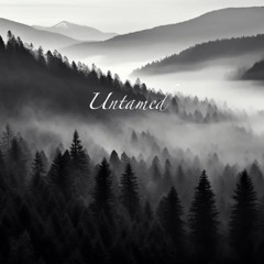 Untamed ( Extract Live )