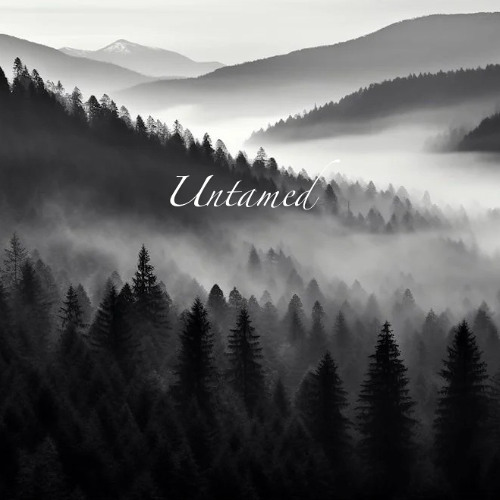 Untamed ( Extract Live )