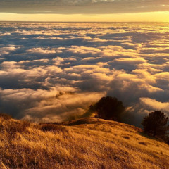 Trenchbabyeli - New Ones (Prod. Kian)