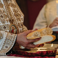 Confession & Eucharistic Exhortation + Metropolitan Antonious +