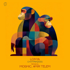 Lonya - Chimpanzees (Amir Telem Remix) - Asymmetric
