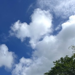 두 개의 심장 (Entangled Hearts)