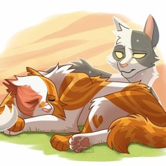 "Prove It" Warrior Cats - Swiftpaw