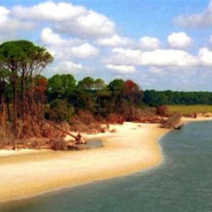 Review Special Price All Day Sapelo Island Tour. See Beaches Lighthouse Indian Shell Ring