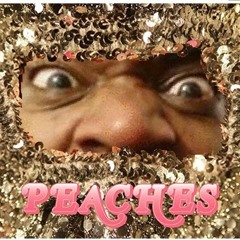 Boys Wanna Be Her - Peaches But It's Takyon By Death Grips