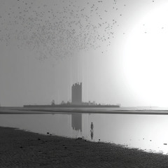 everyday (11-10-25) landscape