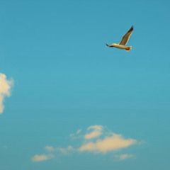 Beyond the distant horizon