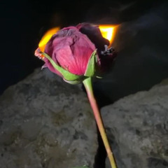 ما كفاك؟