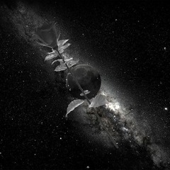 4-khris X 4TM - Everything