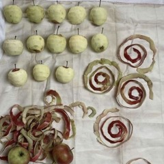 Spiral, Echo, Reverb ep06 — lülü invite madeleine