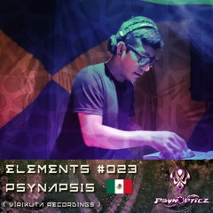PSYNAPSIS | MX (Wirikuta Recordings) :: PsynOpticz “ELEMENTS” Series #023
