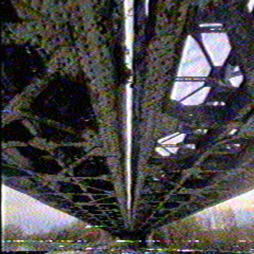 i'm too scared to apply for a job so i make ambient jungle