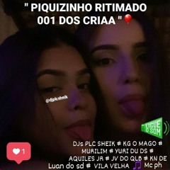 PIQUIZIM RITIMADO 001 DOS CRIA - ( @djplcsheik )MC PH - AQUI SÓ  TOCA BRABA - 2028