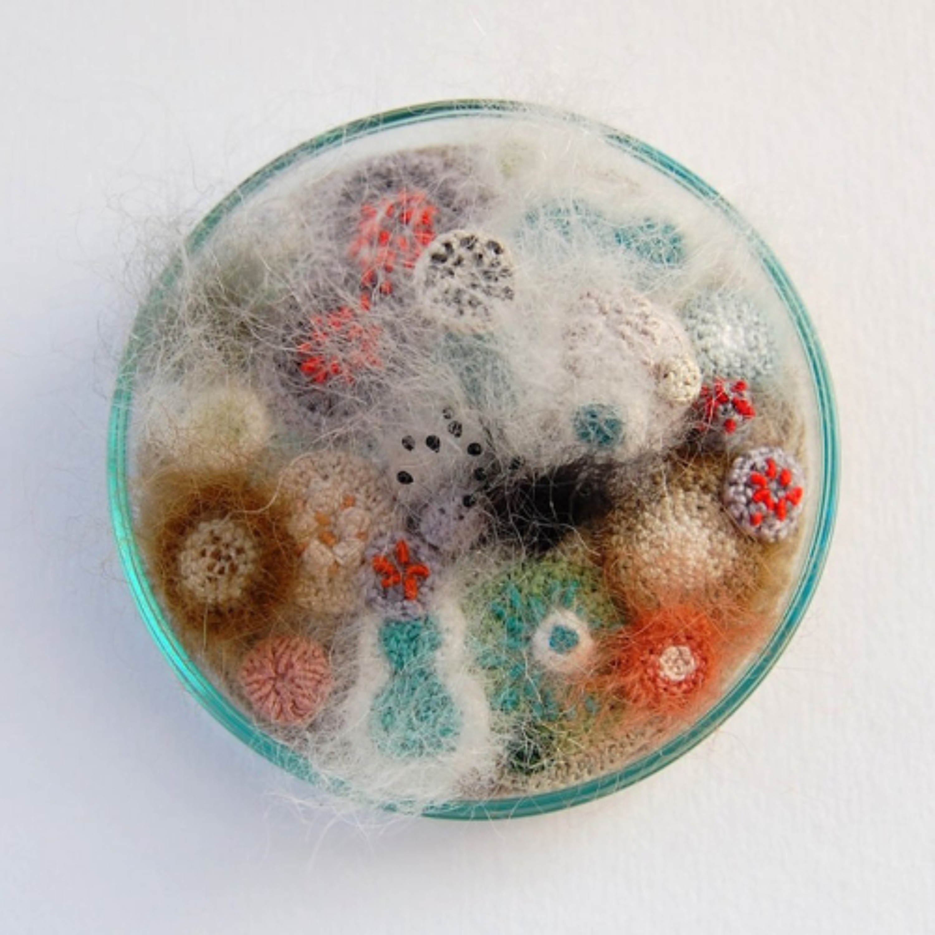 Newt - Petri Dish episode artwork