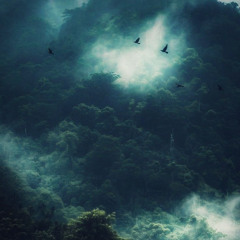 The Birds - Lucio sedan ( Original Mix).