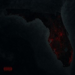 Road To Florida(Darker Than Ever)