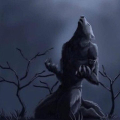 again againnn (violetnight)