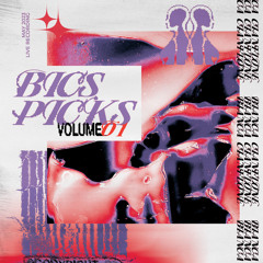 bics picks; volume 01