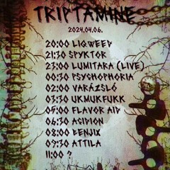 Psy Ravelution - Triptamine - Happy morning Hi-tech dj set 210-160