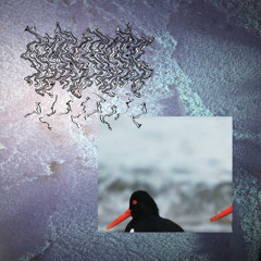 On My Deathbed There's A Full Page (You Don't Get To Read It)