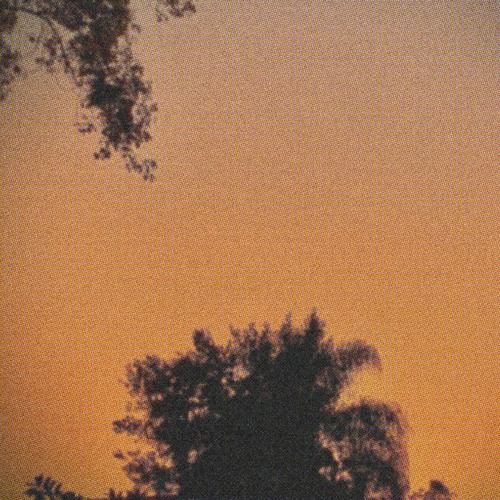 Corrosive & Sweet