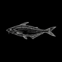 Baseaux - Pangasius Filet (Original Mix)