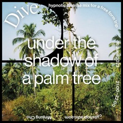 Dive - under the shadow of a palm tree w/ Minjung Cho