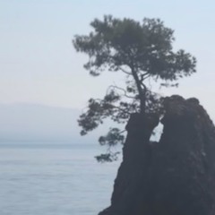 disquiet0428 - midivale