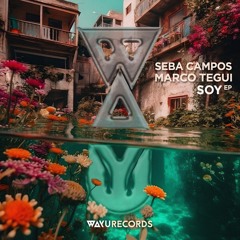 Seba Campos, Marco Tegui - Soy (AmuAmu Remix) [WAYU]