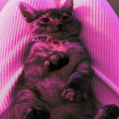 kept it pushin-170bpm