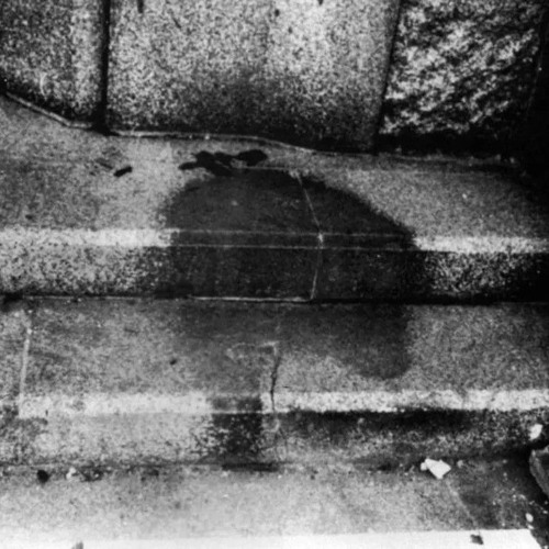 09-Resilient Shadows