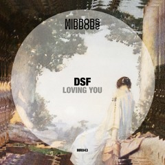 Premiere: DSF - Loving You [Mirrors]
