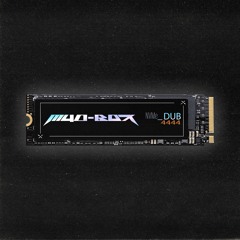 NVMe_DUB