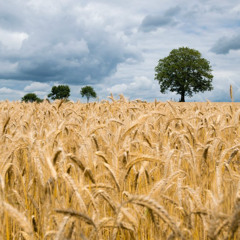 Central Alberta Farm Weather Year End Recap