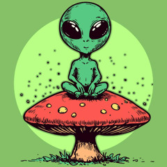 It's 10pm... Do You Know Where Your Mushrooms Are?