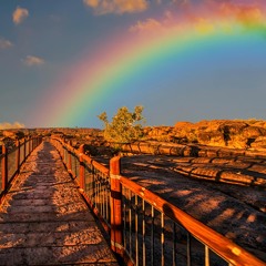 Looking For a Rainbow