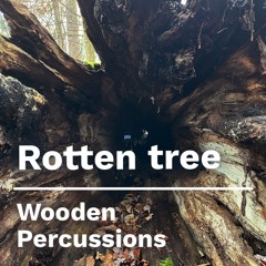 Woodenkick9