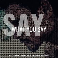 Say What You Say (feat. Terminal Altitude)