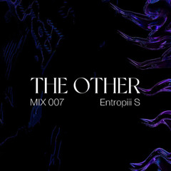 Entropiii S - THE OTHER MIX 007