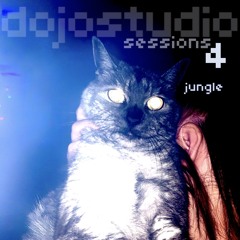Dojostudio Sessions 4 - Jungle (Billy Dalessandro)